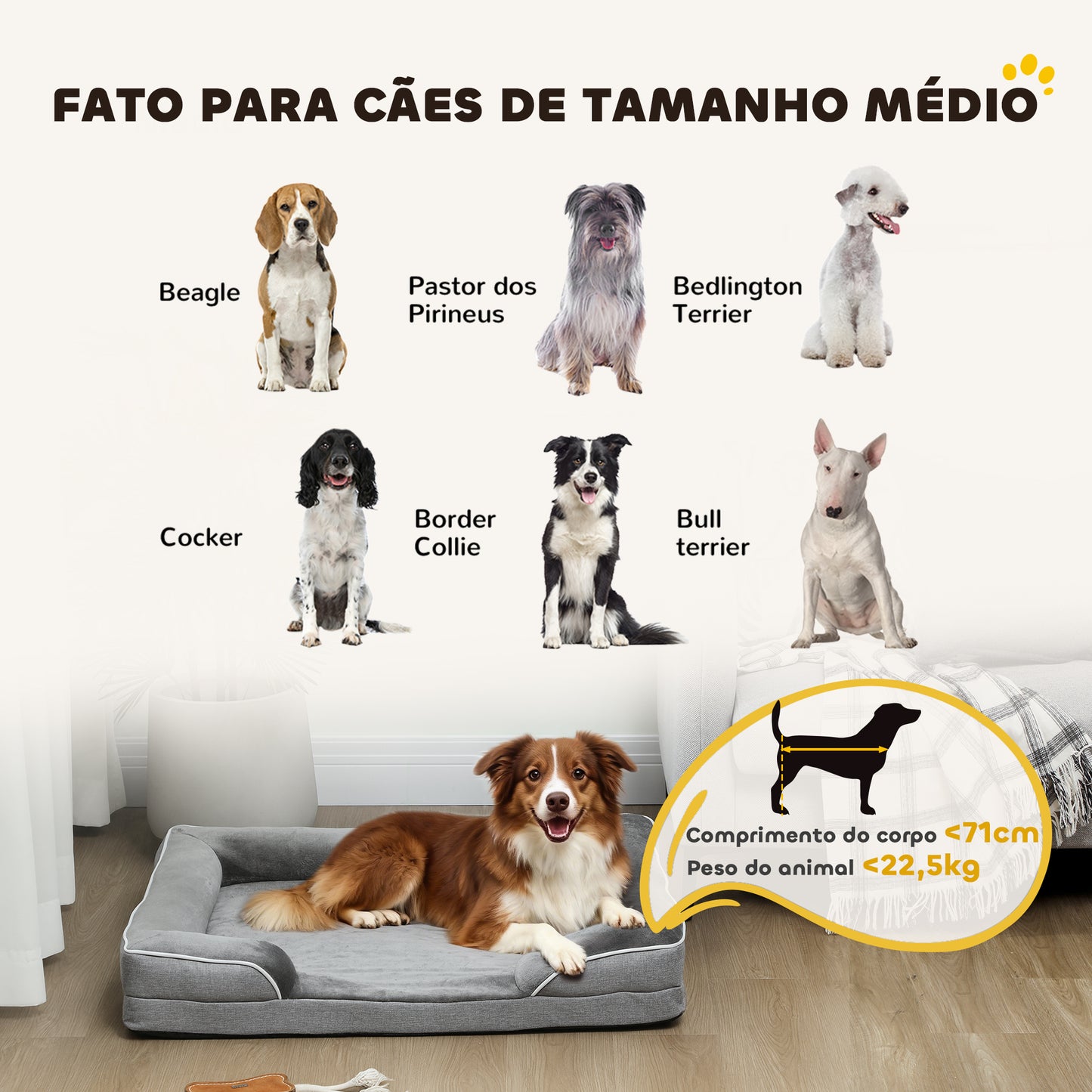 Cama para Cães com Base Antiderrapante